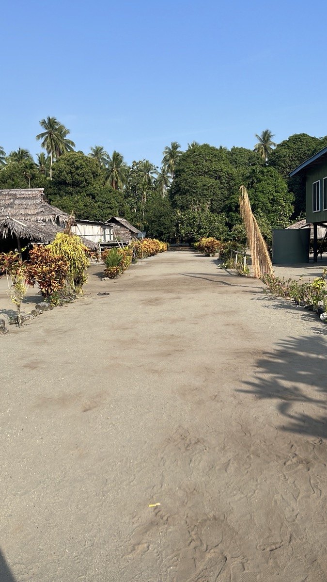 掃き清められた砂の道と、両側に植えられた草木（ソワム村）